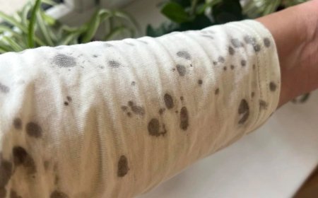 Алматыда қара жаңбыр жауды: Экологтар не дейді? (ФОТО)