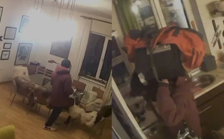 Алматыда ұрылар сейфті троллейбуспен алып қашпақ болған