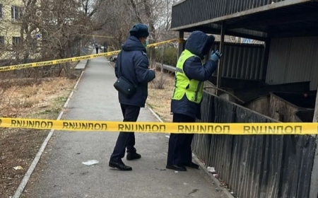 Кентауда қоқыс жәшігінен жаңа туған сәбидің денесі табылды