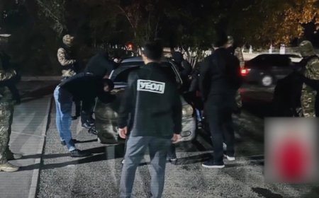 Алматыда жаңа туған нәрестелерді сатқан топ ұсталды