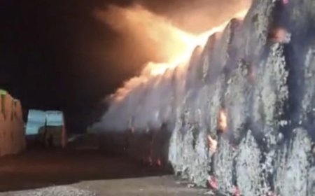 Түркістан облысында 260 тонна мақта өртеніп кетті