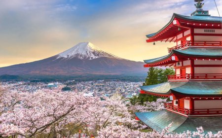 Мемлекет басшысы ресми сапармен Жапонияға барады