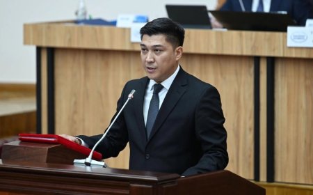 Қырғызстанда министр мас күйінде көлік басқарғаны үшін қызметінен босатылды