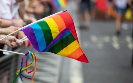 Елімізде ЛГБТ-ны насихаттауға тыйым салатын заң қабылданды