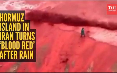 Таяу Шығыста «қанды жаңбыр» жауды