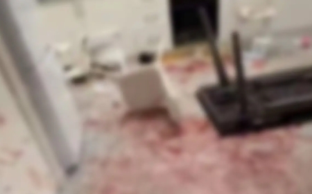 «Шөлмектің сынығымен аяғын кескен»: Алматыда үй иесі қанға боялған пәтеріне полиция емес, клининг шақырған (ВИДЕО)