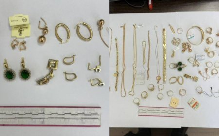 Түркістанда полицейлер 8,5 миллион теңге шығын келтірген ұрлықтың бетін ашты