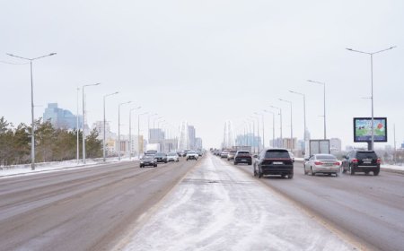 Тайғаққа қарсы жолға тұз себуге тыйым салынады