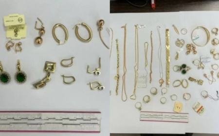 Түркістан облысында келін енесін тонап кеткен