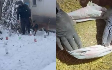 Алматыда ірі көлемдегі есірткі сату арнасы анықталды