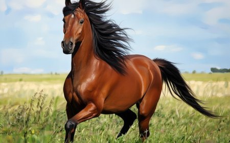 Жылқы жылы қандай болған?