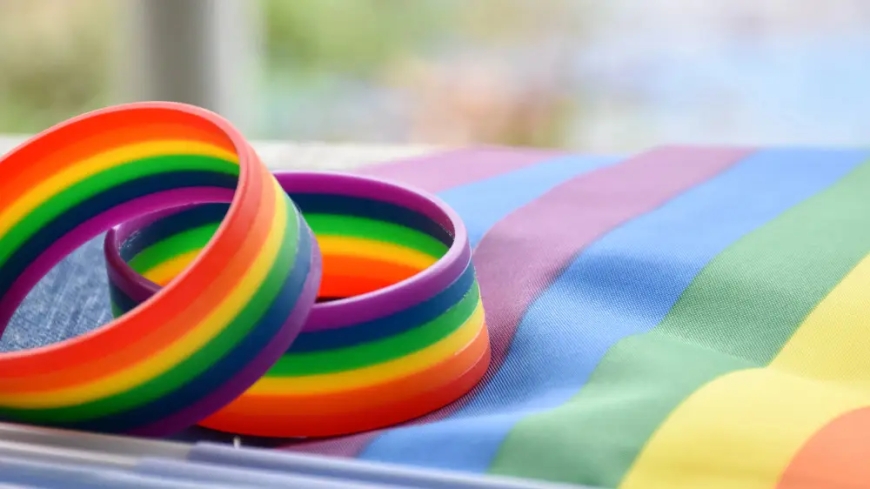 ЛГБТ туралы заң күн тәртібінен жоғалып кетті: Сенат түсініктеме берді