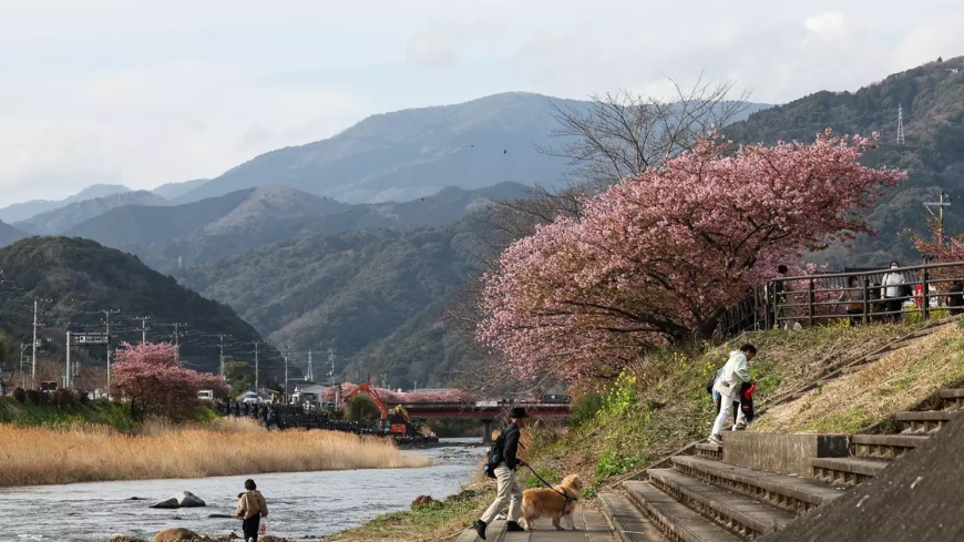 Жапонияда 7,2 балдық қуатты жер сілкінісі болды