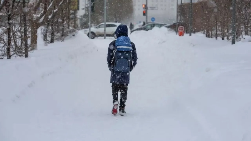 Қостанай облысында аязға байланысты  оқушылар қашықтықтан оқуға көшті