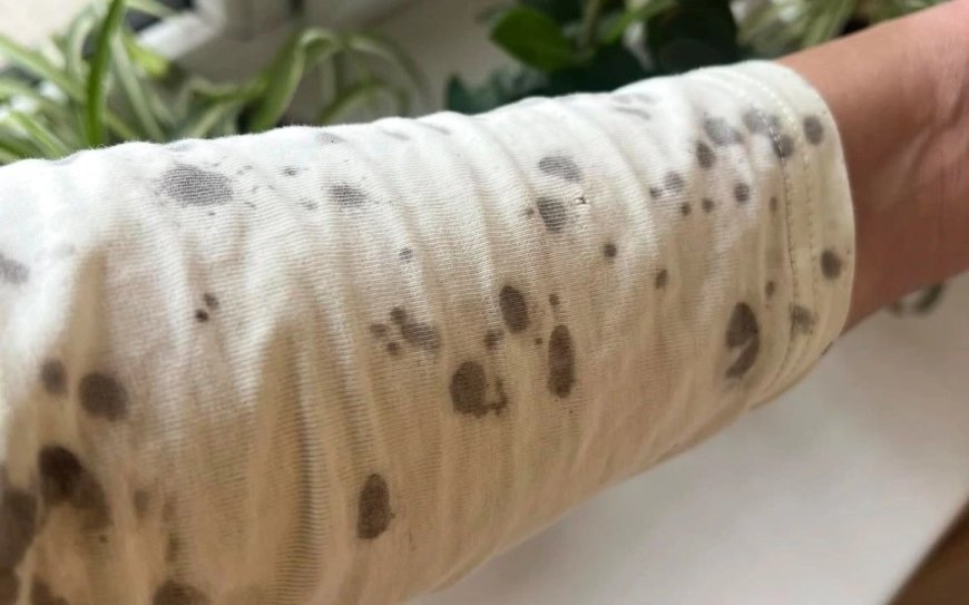 Алматыда қара жаңбыр жауды: Экологтар не дейді? (ФОТО)