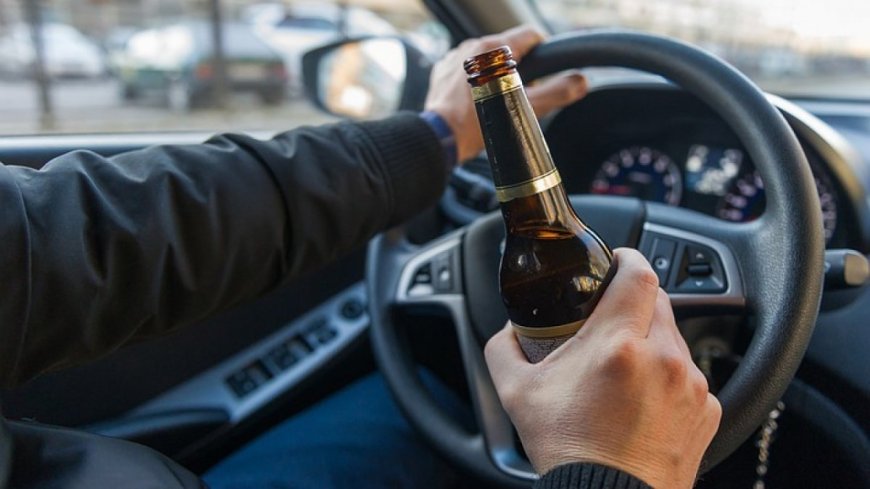 Ғылым министрі мас күйінде көлік айдап, ұсталды