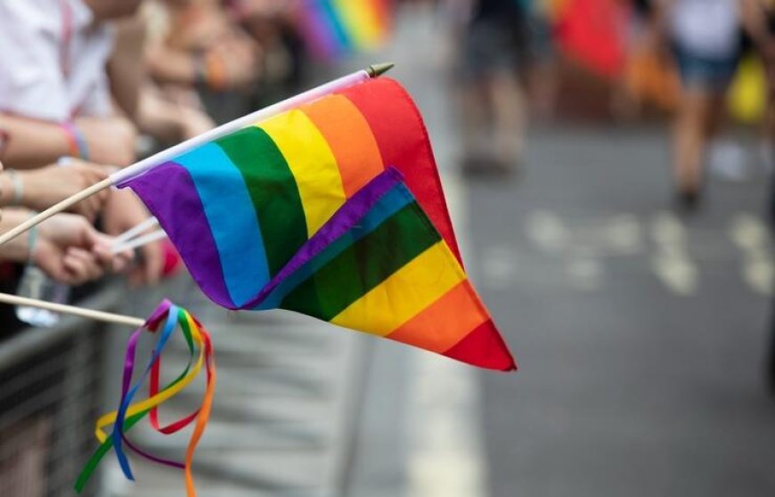 Елімізде ЛГБТ-ны насихаттауға тыйым салатын заң қабылданды