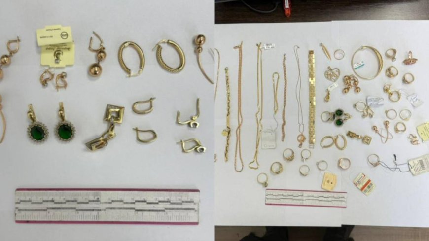 Түркістанда 8,5 миллион теңге шығын келтірген ұрлық әшкереленді