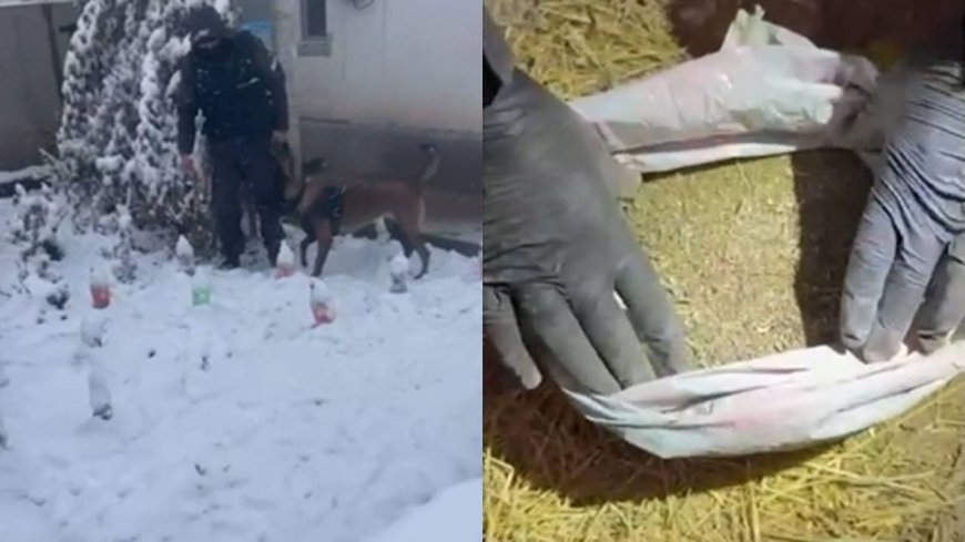 Алматыда ірі көлемдегі есірткі сату арнасы анықталды