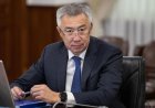 Серік Жұманғариннің әйелі 88 млн теңгеден астам табыс тапқан (ФОТО)