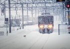 Ақмола тұрғыны оқыс оқиғаның құрбаны болды