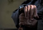 Шөбересін зорлаған 82 жастағы қария 20 жылға сотталды