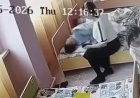 Шымкентте тәрбиеші балаларды шприцпен қорқытып, қол көтерген