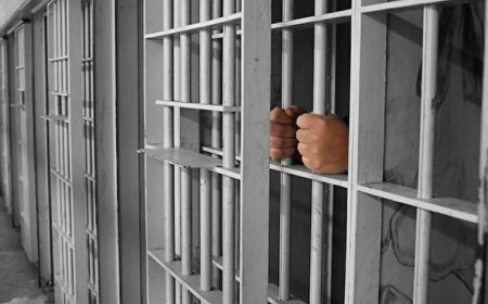 «Темір торға 4 сағат бойы іліп қойған»: Шымкенттегі колония қызметкерлері сотталғандарды азаптап келген