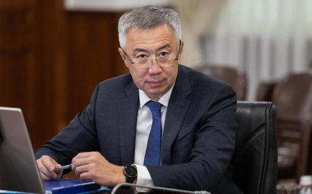 Серік Жұманғариннің әйелі 88 млн теңгеден астам табыс тапқан (ФОТО)