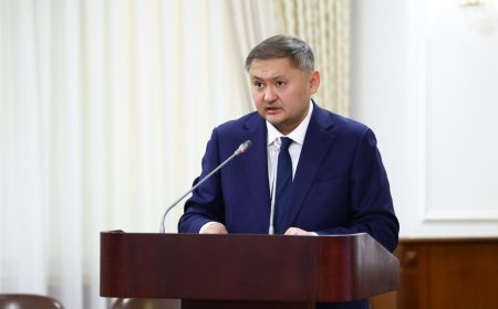 95 университет оқу жоспарына ЖИ-ге қатысты пәндерді енгізді – министрлік