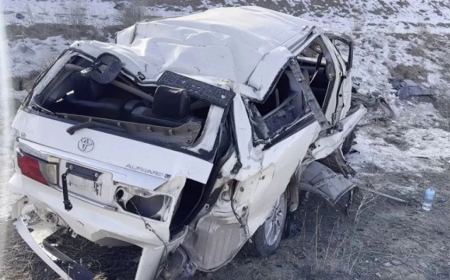 Алматы маңында үндістандық студенттер қаза тапты