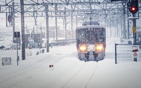 Ақмола тұрғыны оқыс оқиғаның құрбаны болды