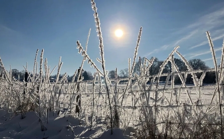 38 градусқа дейін аяз: Елімізге суық антициклон келе жатыр