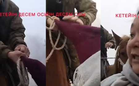 «Көрген күнім осы»:  Күйеуінен зәбір көрген әйел  халықтан көмек  сұрады