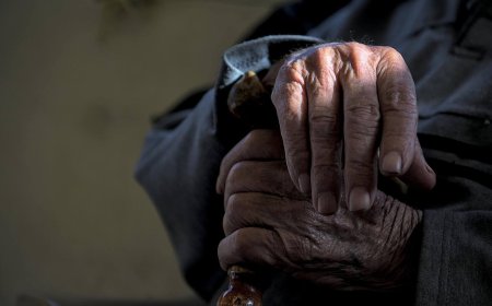 Шөбересін зорлаған 82 жастағы қария 20 жылға сотталды