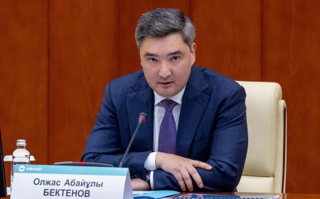 Жалған науқастар, өлі жандарға қызмет: Бектенов ФСМС-ті Минфинге беруді тапсырды