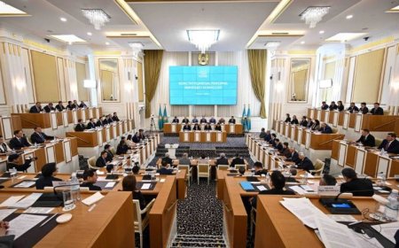 Бір палаталы Құрылтайға кімдер квота бойынша кіре алады