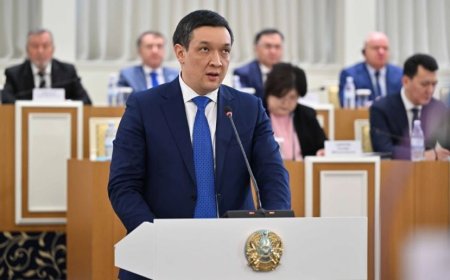 Вице-президент лауазымы: Қойылатын талаптар белгілі болды