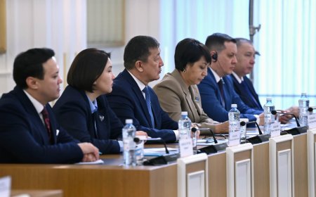 Вице-президентке жүктелетін қызметтер белгілі болды