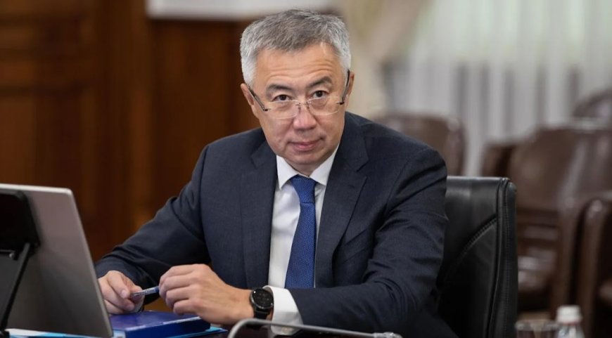 Серік Жұманғариннің әйелі 88 млн теңгеден астам табыс тапқан (ФОТО)