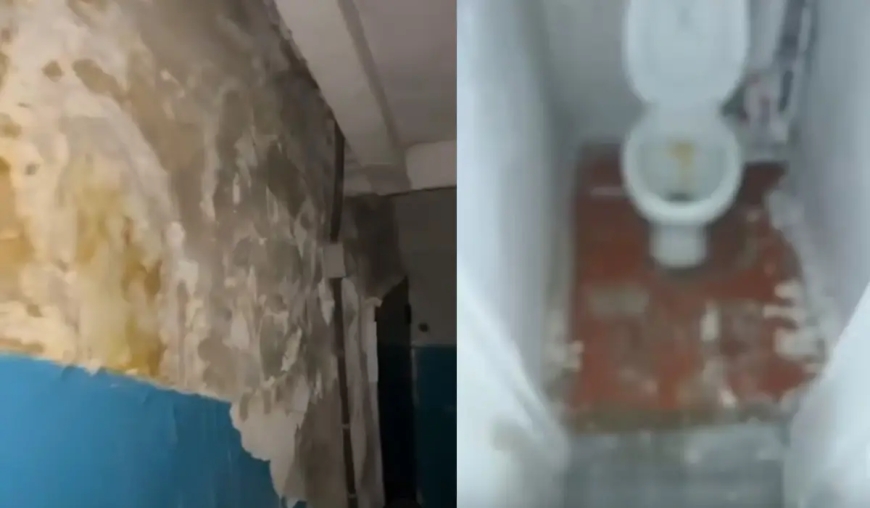 «Ішімдік бөтелкелері толған, төбесі құлаған»: Алатауға барған жас дәрігерге әкімдік қора-қопсыққа тең үй ұсынған