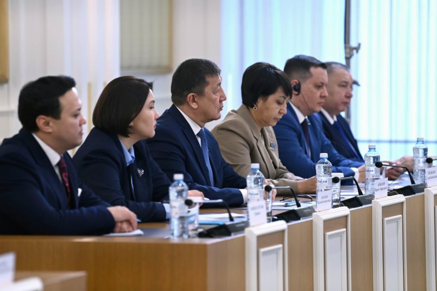 Вице-президентке жүктелетін қызметтер белгілі болды