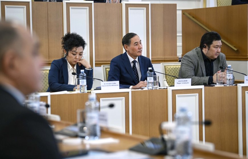 Карла Джаманкулова высказалась о Конституционной реформе