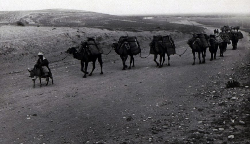 1939 жылғы Түркістанның сирек кадрлары желіде жарияланды