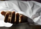 Қайғылы жағдай: Шымкентте үш адамның мәйіті табылды