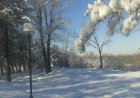 Шымкент дендросаябағында адамның мәйіті табылды