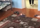 «Сен қызсың ғой»: Түркістанда студент қыздарды ұлдардың бөлмесін жууға мәжбүрлеген