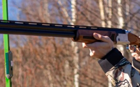 Бурабайда қаңғыбас иттерге атылған оқ адамға тиді