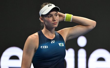 Елена Рыбакина Ресейге кіре алмауы мүмкін