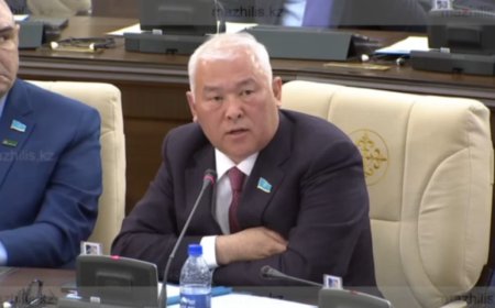 «Даусыңызды бәсеңдетіңіз»: Мұрат Әбенов пен вице-министр сөзге келіп қалды